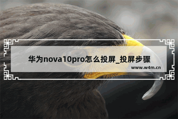 华为nova10pro怎么投屏_投屏步骤