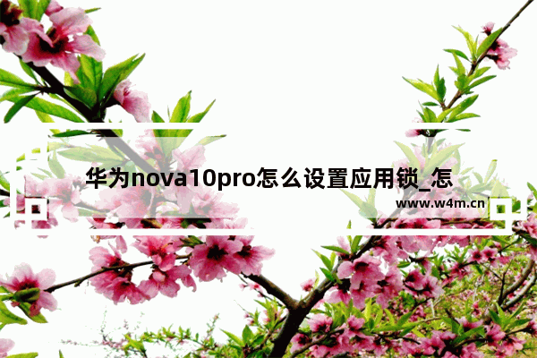 华为nova10pro怎么设置应用锁_怎么给应用加密