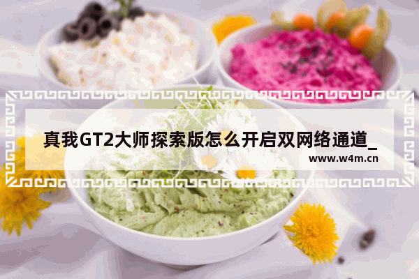 真我GT2大师探索版怎么开启双网络通道_怎么开启网络加速