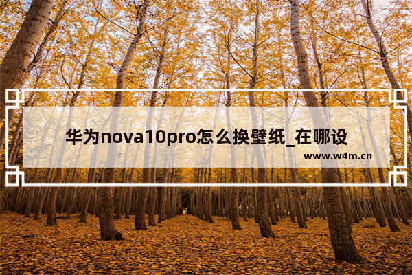 华为nova10pro怎么换壁纸_在哪设置壁纸