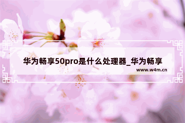 华为畅享50pro是什么处理器_华为畅享50pro处理器型号