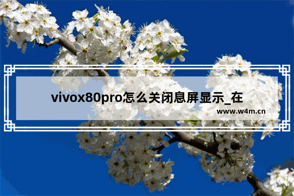 vivox80pro怎么关闭息屏显示_在哪关闭息屏显示