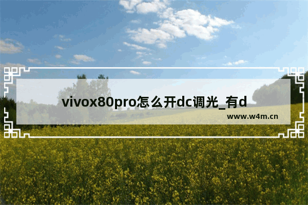 vivox80pro怎么开dc调光_有dc调光吗