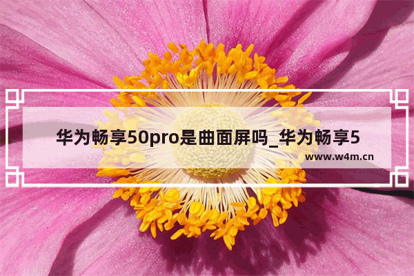 华为畅享50pro是曲面屏吗_华为畅享50pro是不是曲面屏