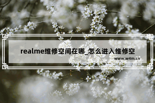 realme维修空间在哪_怎么进入维修空间