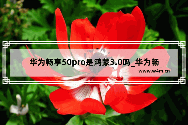 华为畅享50pro是鸿蒙3.0吗_华为畅享50pro支持鸿蒙3.0吗