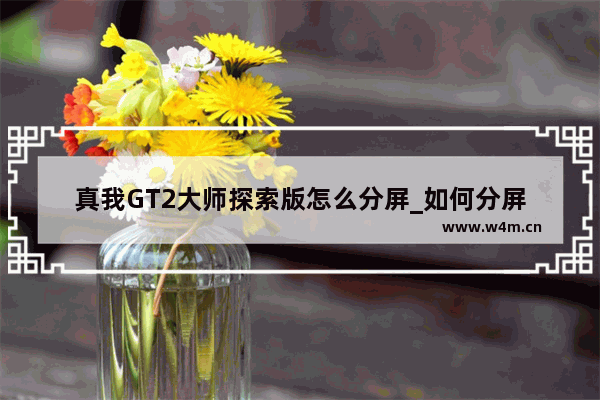 真我GT2大师探索版怎么分屏_如何分屏