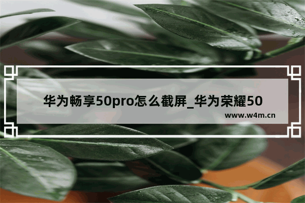 华为畅享50pro怎么截屏_华为荣耀50pro如何截屏