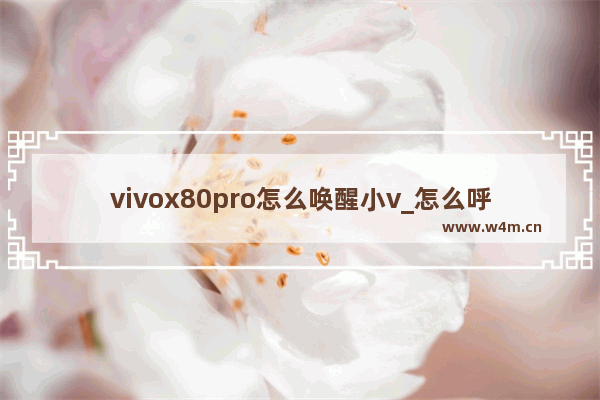 vivox80pro怎么唤醒小v_怎么呼叫小v