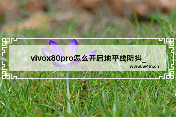 vivox80pro怎么开启地平线防抖_地平线防抖在哪