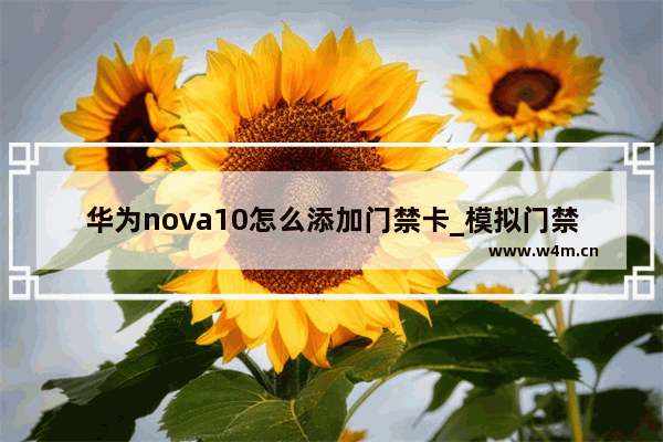 华为nova10怎么添加门禁卡_模拟门禁卡教程