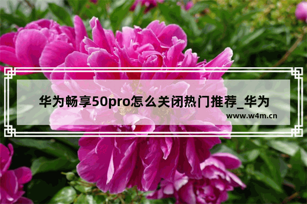 华为畅享50pro怎么关闭热门推荐_华为畅享50pro热门推荐如何关闭