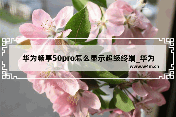 华为畅享50pro怎么显示超级终端_华为畅享50pro超级终端如何显示