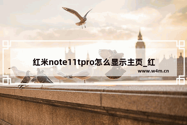 红米note11tpro怎么显示主页_红米note11tpro主页怎么设置