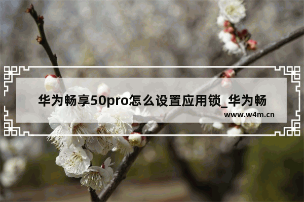 华为畅享50pro怎么设置应用锁_华为畅享50pro如何锁定应用