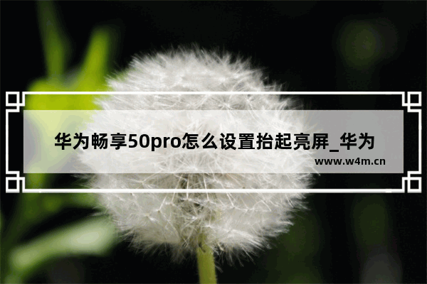 华为畅享50pro怎么设置抬起亮屏_华为畅享50pro怎么抬起唤醒屏幕