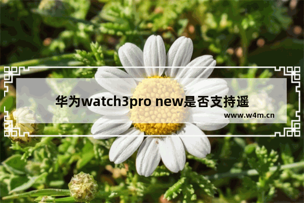 华为watch3pro new是否支持遥控拍照_华为watch3pro new是否支持远程拍照