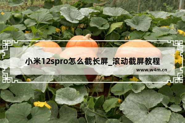 小米12spro怎么截长屏_滚动截屏教程