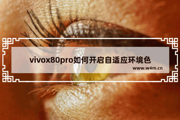 vivox80pro如何开启自适应环境色温_在哪设置自适应环境色温