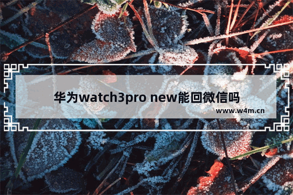 华为watch3pro new能回微信吗_华为watch3pro new可以回微信吗