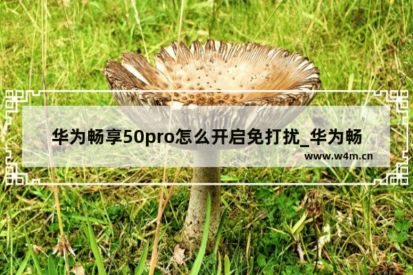 华为畅享50pro怎么开启免打扰_华为畅享50pro免打扰怎么设置