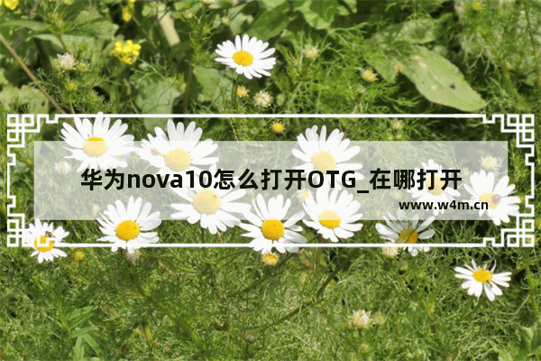 华为nova10怎么打开OTG_在哪打开OTG