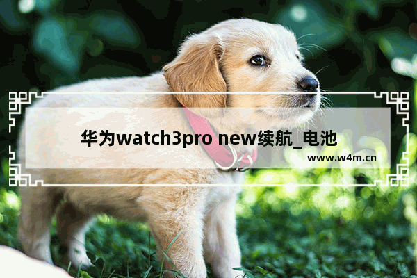 华为watch3pro new续航_电池