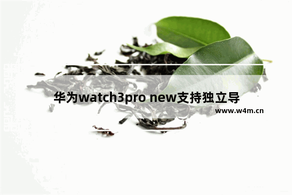 华为watch3pro new支持独立导航吗_华为watch3pro new独立导航