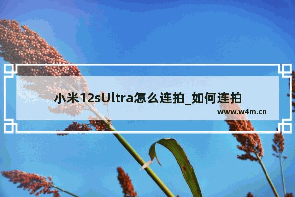 小米12sUltra怎么连拍_如何连拍