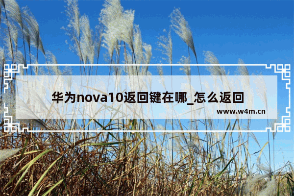 华为nova10返回键在哪_怎么返回