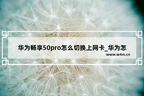 华为畅享50pro怎么切换上网卡_华为怎么快速切换上网卡