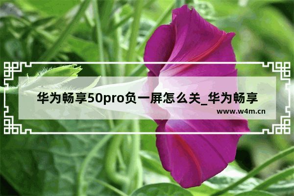 华为畅享50pro负一屏怎么关_华为畅享50pro如何关闭负一屏