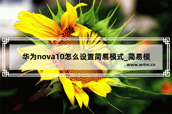 华为nova10怎么设置简易模式_简易模式在哪