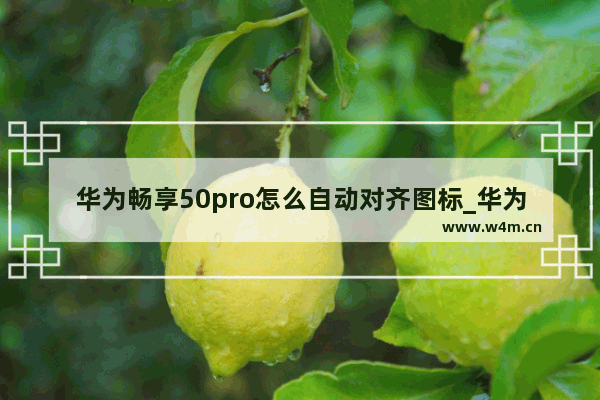 华为畅享50pro怎么自动对齐图标_华为畅享50pro图标怎么自动对齐