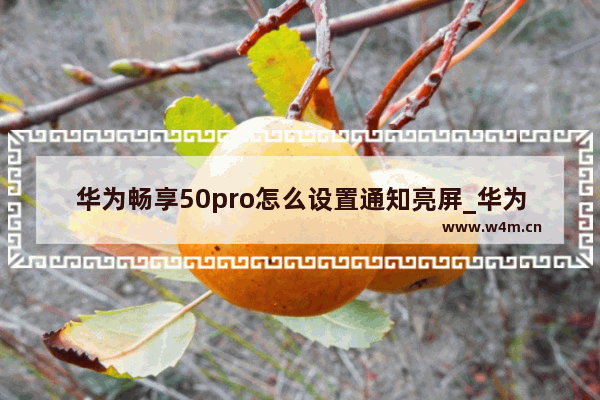 华为畅享50pro怎么设置通知亮屏_华为来通知时怎么亮屏