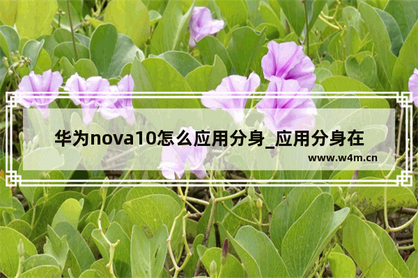 华为nova10怎么应用分身_应用分身在哪设置