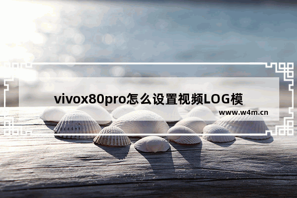 vivox80pro怎么设置视频LOG模式_怎么开启视频LOG模式