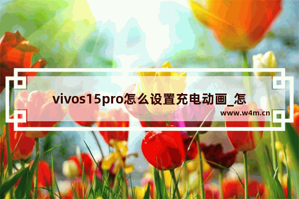 vivos15pro怎么设置充电动画_怎么更改充电动画