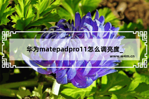 华为matepadpro11怎么调亮度_华为matepadpro11屏幕亮度怎么调