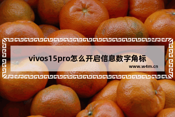 vivos15pro怎么开启信息数字角标_怎么设置应用数字提示