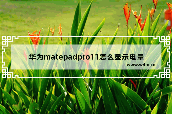 华为matepadpro11怎么显示电量百分比_华为matepadpro11怎怎么显示电量