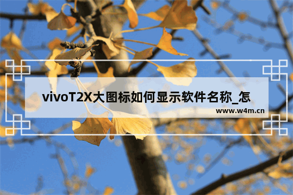 vivoT2X大图标如何显示软件名称_怎么显示应用名称