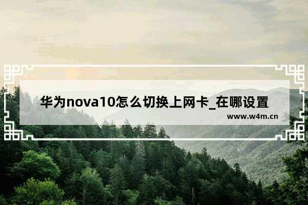 华为nova10怎么切换上网卡_在哪设置上网卡