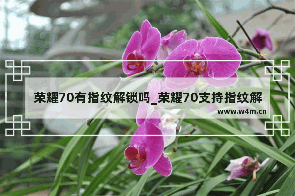 荣耀70有指纹解锁吗_荣耀70支持指纹解锁吗