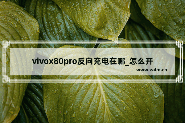 vivox80pro反向充电在哪_怎么开启反向充电