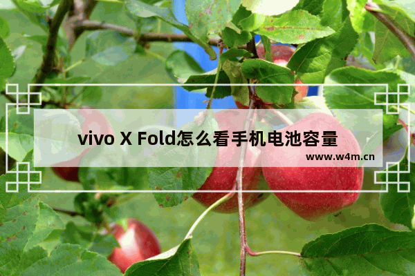 vivo X Fold怎么看手机电池容量_电池最大容量在哪查