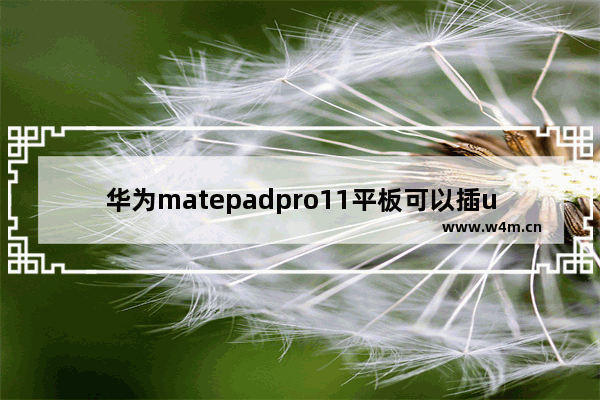 华为matepadpro11平板可以插u盘吗_华为matepadpro11能插u盘吗