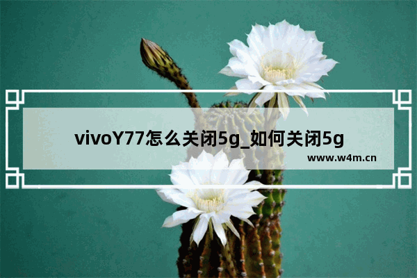 vivoY77怎么关闭5g_如何关闭5g