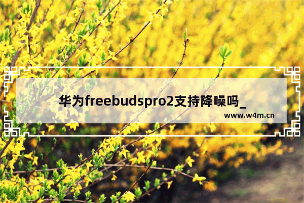 华为freebudspro2支持降噪吗_有主动降噪吗