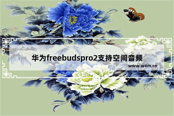 华为freebudspro2支持空间音频吗_有空间音频吗